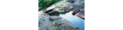 இலத்தூர்